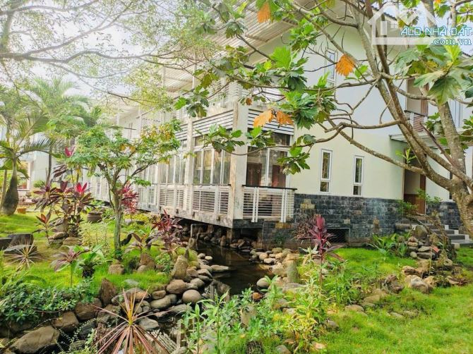 Bán nhà mặt tiền 50x120m giá 95 tỷ Đường Thanh Niên - 2