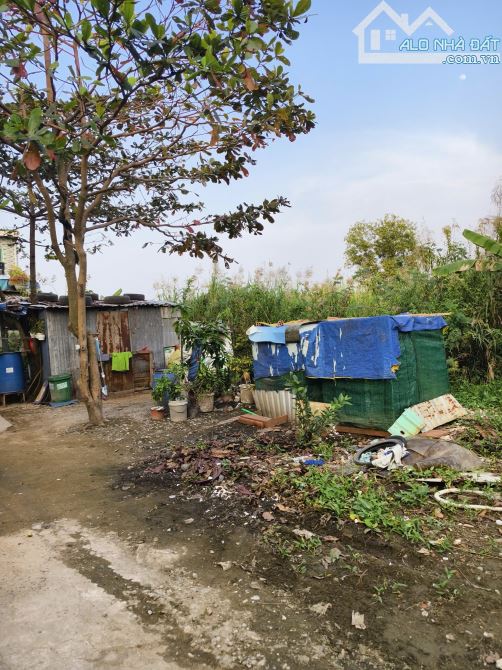 BÁN ĐẤT 3 MẶT TIỀN ĐƯỜNG AN HẠ – PHẠM VĂN HAI – BÌNH CHÁNH - 2