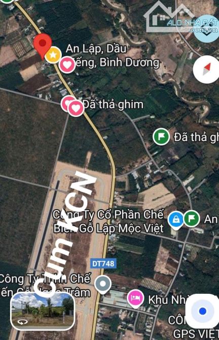 BÁN ĐẤT MT DT748, AN LẬP, DẦU TIẾNG, DT:50x186, TC300M2, SHR, GIÁ 15 TỶ - 4