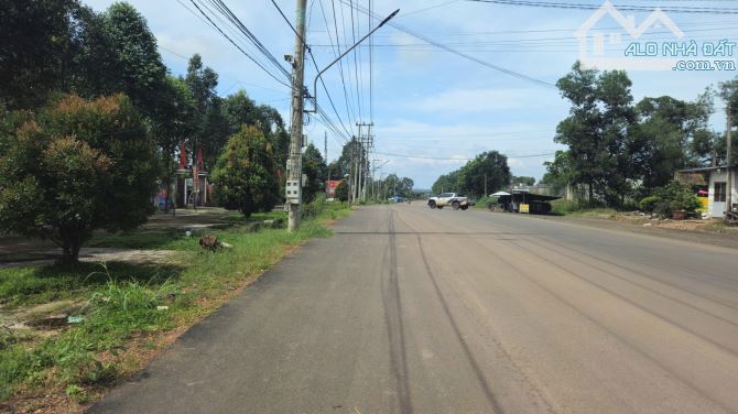 12ha có 1.000m mặt tiền, đất phủ hồng sẵn