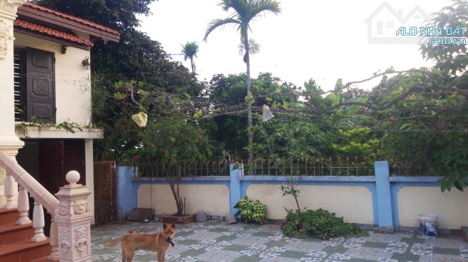 Bán gấp 1100m2 đất vị trí đắc địa tại Thượng Trang, An Trường,TP Hải Phòng