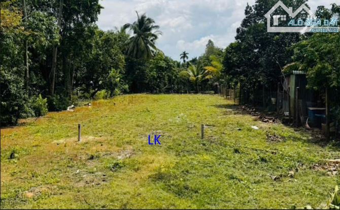 🔰Bán 3 nền:  289m² (5m x 58m, thổ 100m²) Đường Rạch Bà Bướm, xã Hòa An, TP Cao Lãnh - 2