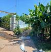 Diên Bình-Binh Lộc cần bán gấp lô đất vườn siêu đẹp giá thì rẻ hơn thị trường 2-3 giá