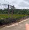 BÁN ĐẤT CHƠN THÀNH BÌNH PHƯỚC 1hecta