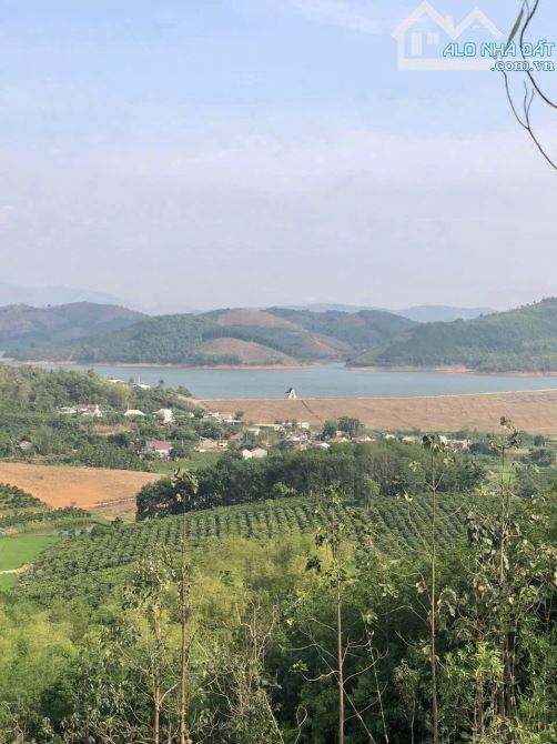 ✨ SIÊU RẺ: 14.401m2 ngay KDC, chất Đất Đỏ Bazan màu mỡ thích hợp với mọi loại cây - 399Tr
