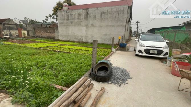 Bán 88m Sen Phương, Phúc Thọ, Hà Nội - 1