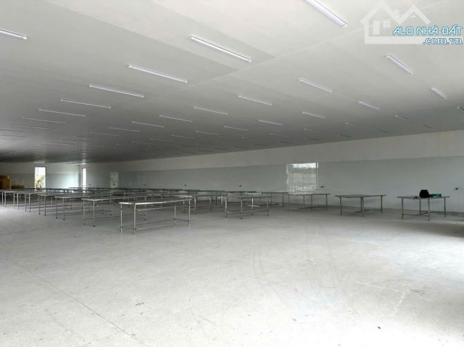 CHO THUÊ KHO XƯỞNG MỚI  _ ZIN 9100M2 HOÀ TRUNG, CÁI NƯỚC, CÀ MAU - 1