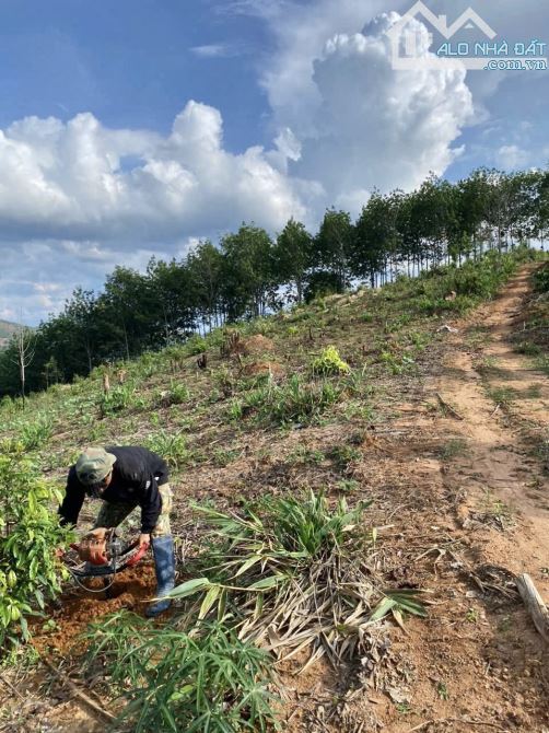 ✨ SIÊU RẺ: 14.401m2 ngay KDC, chất Đất Đỏ Bazan màu mỡ thích hợp với mọi loại cây - 399Tr - 2