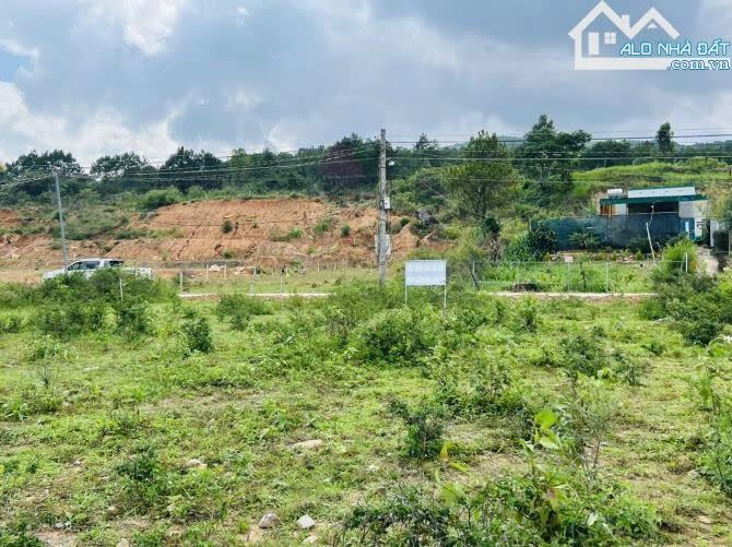 Cần bán đất kho muối, cách ngã 3 Phi Nôm 400m, huyện Đức Trọng - 1