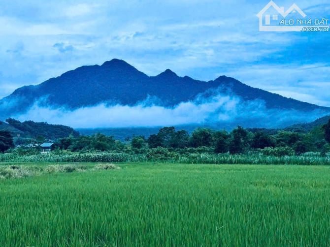 Mảnh đất đẹp xã Ba Trại, gần Hồ Suối Hai, 615m, 100tc, view cánh đồng, sát TL, chỉ 2.66tỷ - 3