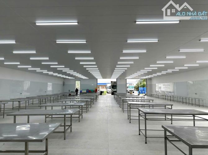 CHO THUÊ KHO XƯỞNG MỚI  _ ZIN 9100M2 HOÀ TRUNG, CÁI NƯỚC, CÀ MAU - 3