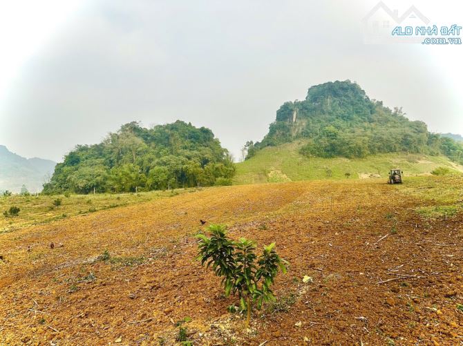 Bán mảnh đất đẹp diện tích 10.345m có 1000m thổ cư giá chỉ 650k/m - 4