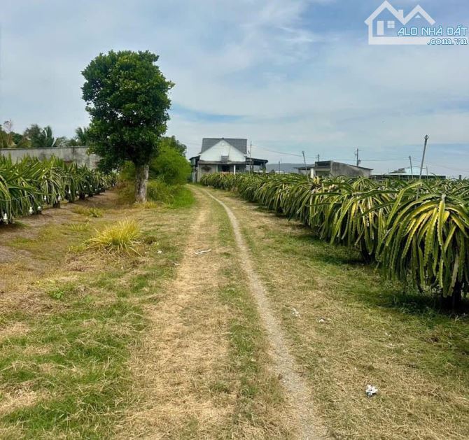 Đất vườn hướng Biển,View Suối-Hàm Thuận Nam(Hàm Minh cũ)-Lâm Đồng-6.500m2 - 1