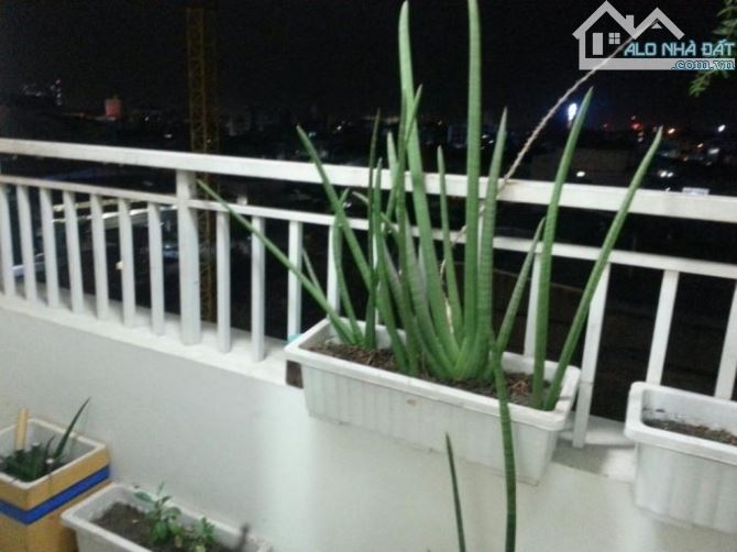 Rẻ! ở liền! đầu năm may mắn! Cho thuê C/cư Lotus-Useful 2PN Full nội thât chỉ từ 9 - 10 tr - 2