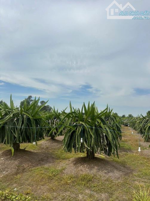Đất vườn hướng Biển,View Suối-Hàm Thuận Nam(Hàm Minh cũ)-Lâm Đồng-6.500m2 - 2