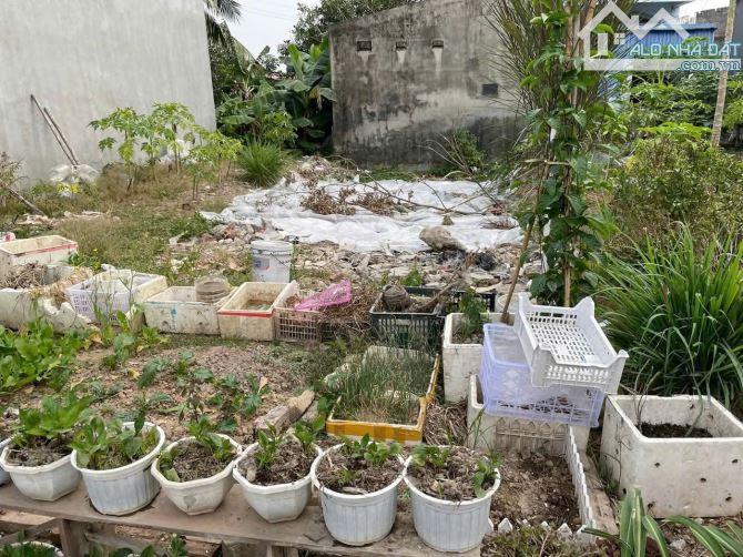 Duy nhất lô đất 950 tr khu lệnh bá Chính trọng quỳnh cư, Hùng Vương - 4