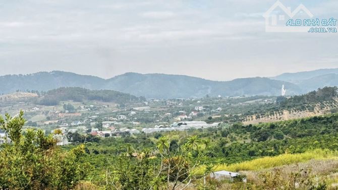 ✨ 3 lô F0 View Tuyệt Đẹp: 6.5m x 25m (FULL ONT). Đường Bê Tông 6M, đã cắm ranh mốc - 679Tr - 4