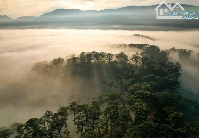 Cần bán đất View đẹp đường 3 tháng 4 phường 3 thành phố Đà Lạt - 6