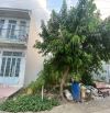BÁN ĐẤT ĐƯỜNG ĐẶNG THÚC VỊNH -HÓC MÔN -100m2 - giá 1 tỷ 500 - GỌI CHO EM XEM ĐẤT