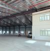 Cho thuê xưởng 4800m2 KCN Châu Đức, Huyện Châu Đức, BRVT