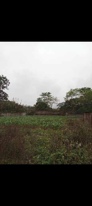 Bán đất – BÁN ĐẤT TẶNG NHÀ, Ô TÔ TẢI VÀO ĐẤT, CHỈ 5 TRIỆU/1 M2, CÁCH KENG NAM 35 KM- 1554m