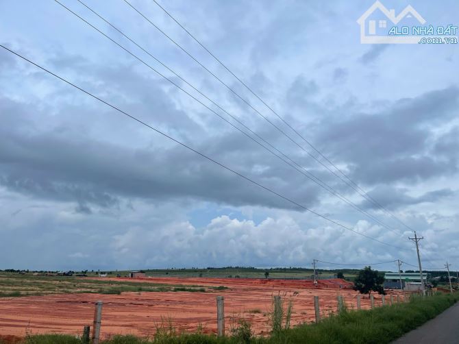 Bán 2HA đất xã Tiến Thành gần vòng xoay Hàm Kiệm - Tiến Thành giá đầu tư