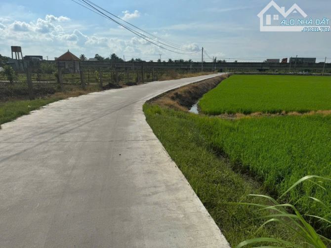 ✅  Bán 1532m2 đất lúa 2 mặt tiền đường 6m thuộc xã Lợi Bình Nhơn , TP Tân An _ 30x50m2