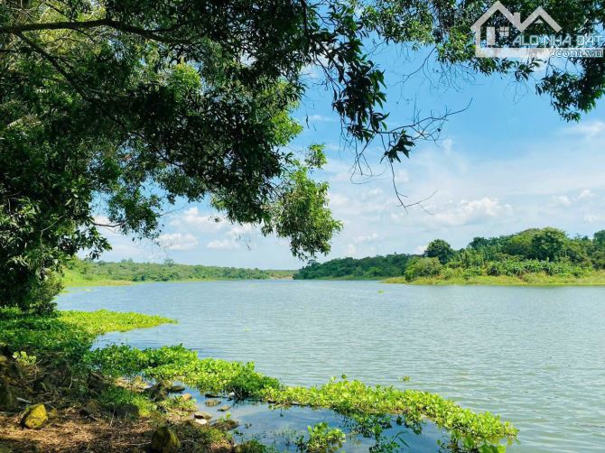 Cần bán 90.054m2 đất phủ hồng toàn bộ view trực diện hồ sông Ray chỉ 750tr/ sào TL - 1