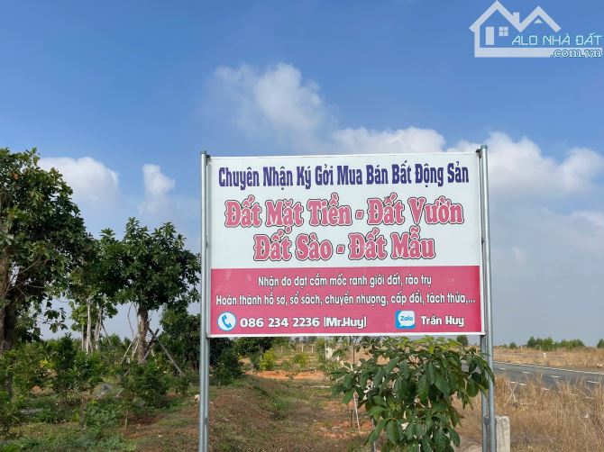 Bán 2HA đất xã Tiến Thành gần vòng xoay Hàm Kiệm - Tiến Thành giá đầu tư - 1