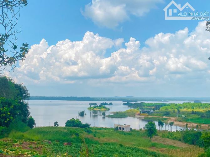 Cần bán 90.054m2 đất phủ hồng toàn bộ view trực diện hồ sông Ray chỉ 750tr/ sào TL - 2