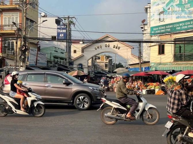 💥 ĐẤT HẬU DÀI ĐƯỜNG NHỰA TRÂM VÀNG, THANH PHƯỚC, GÒ DẦU - 2