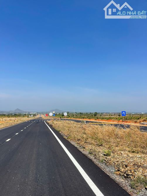 Bán 2HA đất xã Tiến Thành gần vòng xoay Hàm Kiệm - Tiến Thành giá đầu tư - 2