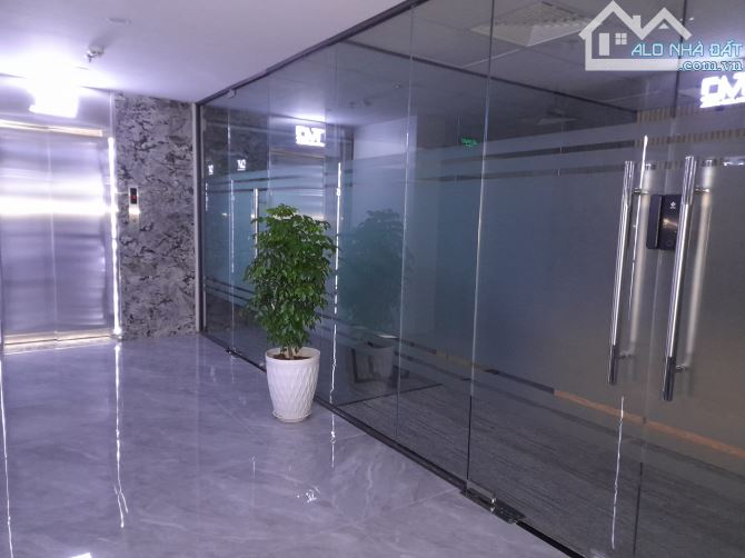 Bán Tòa Văn Phòng VIP 9 Tầng Mặt Phố Trần Thái Tông DT 306m2, MT 13,5m, Giá 195 tỷ - 3