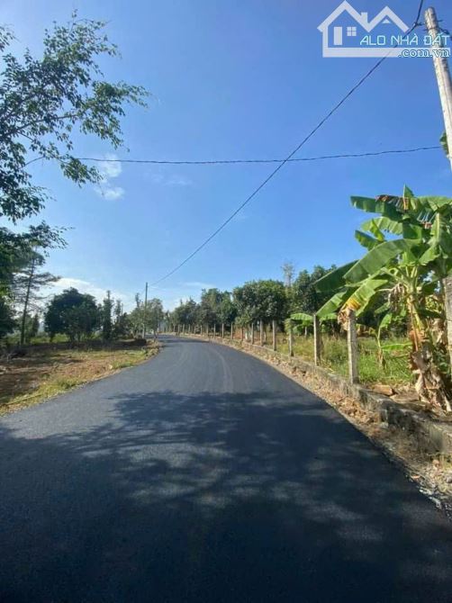 Cần bán 90.054m2 đất phủ hồng toàn bộ view trực diện hồ sông Ray chỉ 750tr/ sào TL - 3