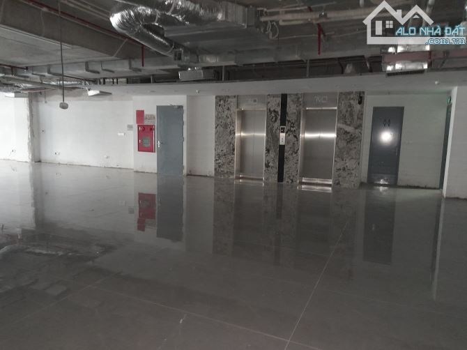 Bán Tòa Văn Phòng VIP 9 Tầng Mặt Phố Trần Thái Tông DT 306m2, MT 13,5m, Giá 195 tỷ - 5