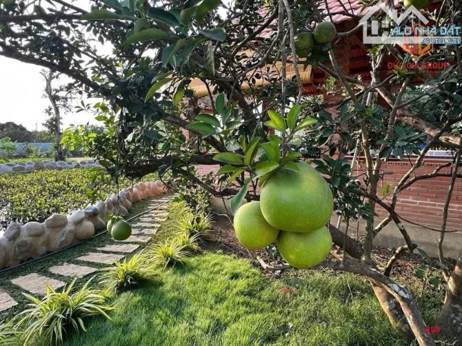 Cần bán khu nhà nghỉ dưỡng 1800m2 thuộc Xã Tân Bình, Huyện Vĩnh Cửu, Đồng Nai - 5