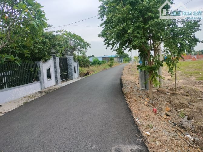 Tân hoà gần 991, dt 13*34*40tc full hồng - 3
