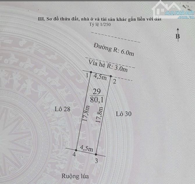 TĐC XÃ GIA MINH. ĐƯỜNG TRẢI NHỰA 12M GIÁ CHỈ 9xxtr