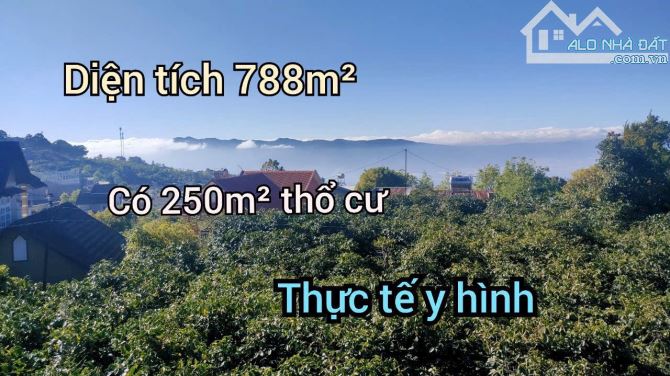 788m2 có sẵn 250m2 thổ cư, mặt tiền Ql20 tại Trạm Hành- Đà Lạt, view săn mây.