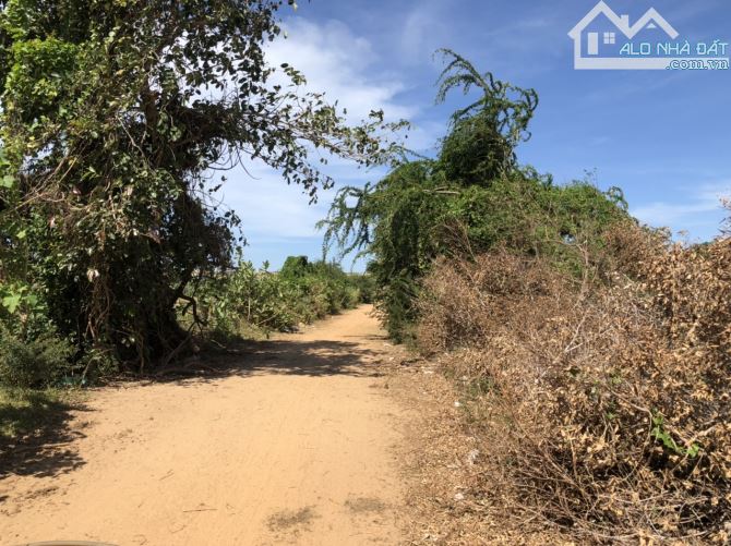 Cần bán nhanh-Đất Hồng Thắng-Hoà Thắng-Bắc Bình-Bình Thuận-DT 16.200m2 - 1