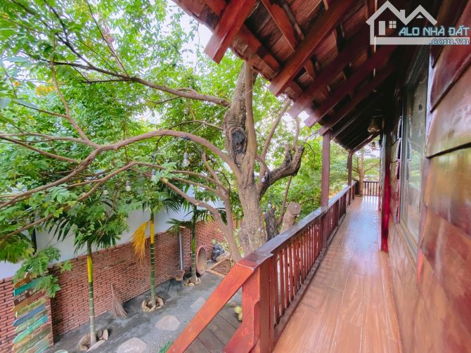 Villa Mini có bể bơi (513 m2 ) Thành Phố BMT - 1