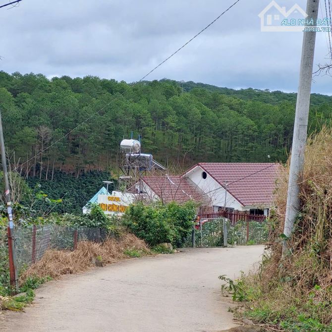 CẦN BÁN LÔ ĐẤT TẠI XÃ XUÂN THỌ - TP ĐÀ LẠT - 1