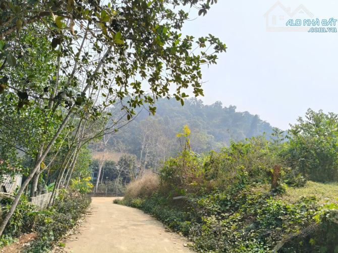 Chủ gửi bán lô đất Minh Quang,Ba Vì,HN.Lô góc,mặt tiền dài,view thoáng,gần đường tỉnh lộ - 1