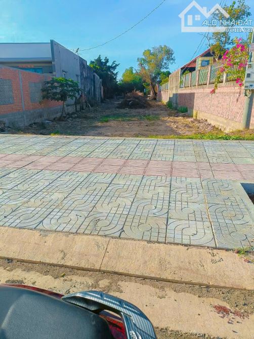 Cần bán lô đất 742m2 mặt tiền 328 cách phố đi bộ Hồ Tràm chỉ 800m - 1