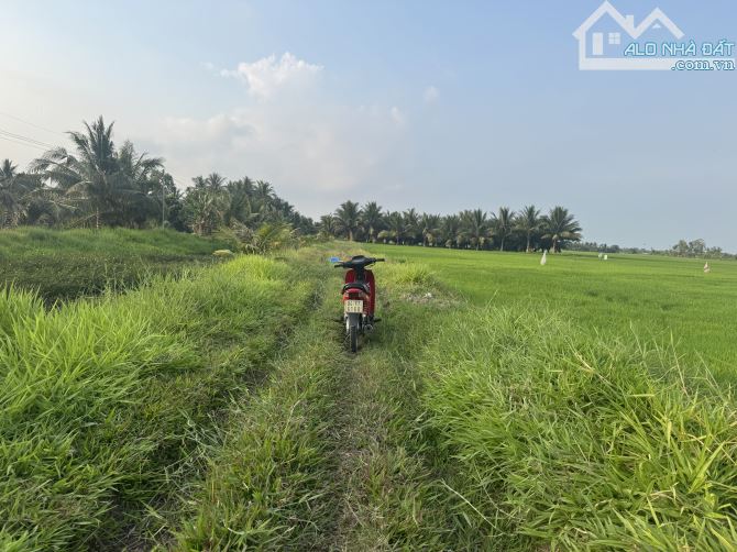 2200m2 Đất Bờ Kênh Phường 9, TP Trà Vinh - 1