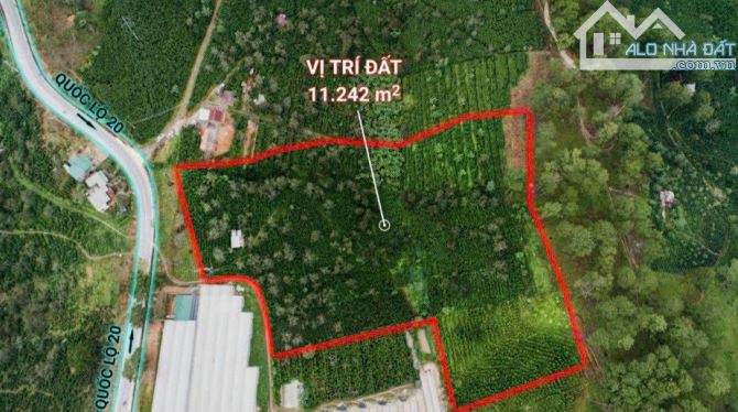 1,1 ha đất nn mặt tiền Ql20 tại Xuân Trường- Đà Lạt, mt dài, giáp rừng thông. Giá 18 tỷ Tl - 1