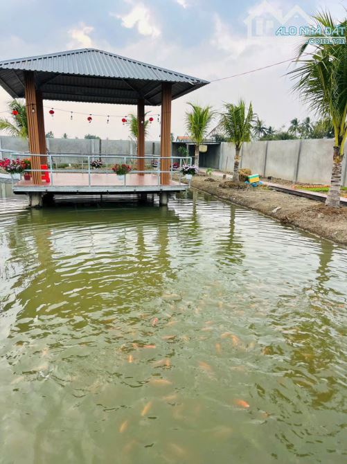 NHÀ VƯỜN CỰC ĐẸP CẠNH THỊ TRẤN TẦM VU, THỔ CƯ KHỦNG, CÁCH TP.TÂN AN CHỈ 10 PHÚT - 12