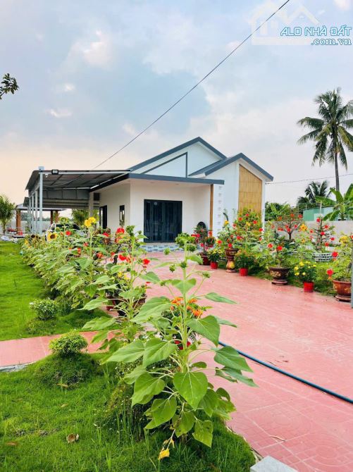 NHÀ VƯỜN CỰC ĐẸP CẠNH THỊ TRẤN TẦM VU, THỔ CƯ KHỦNG, CÁCH TP.TÂN AN CHỈ 10 PHÚT - 13
