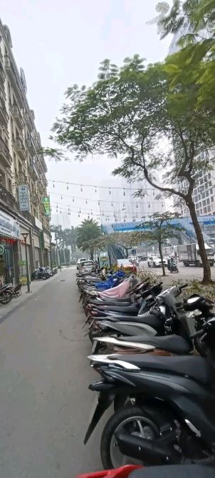 Bán shophouse Tera An Hưng 100m2 7 tầng mặt đường Tố Hữu Hà Đông kinh doanh sầm uất - 2