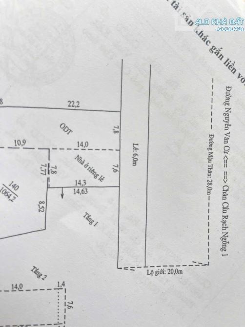 CHO THUÊ MẶT TIỀN NGANG 7M MẬU THÂN, NINH KIỀU, CẦN THƠ - 2